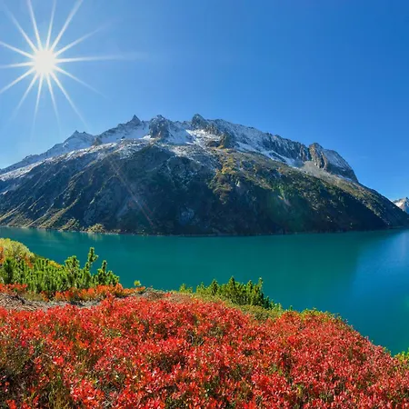 公寓 Apart-magdalena Zillertal 迈尔霍芬